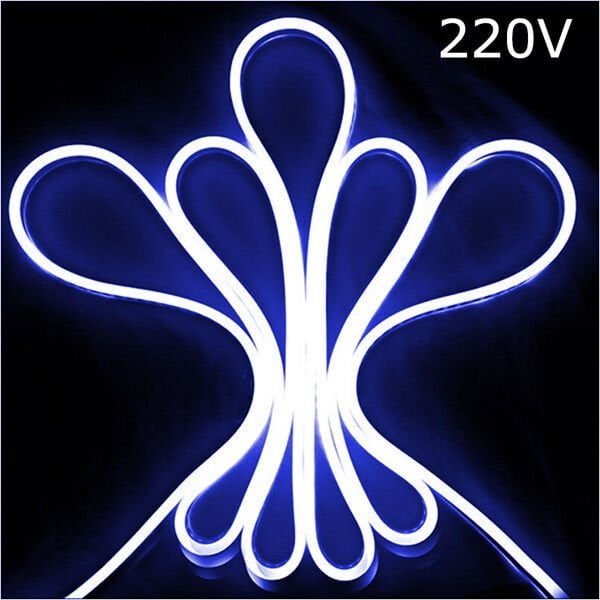 10 Metre Mavi Hortum Led 220 Volt Powermaster