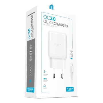 Powerway QCM30 18W Hızlı Şarj Adaptörü + Micro USB Kablo Seti