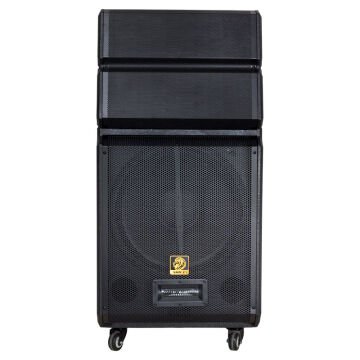 Shile SL-1612B İki El Mikrofonlu-Kumandalı USB/SD/BT/FM Taşınabilir Hoparlör