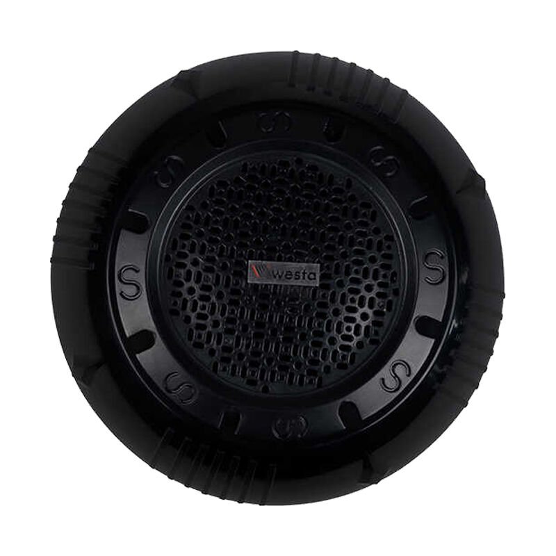 Westa WS-1119TB 13cm Sıva Üstü Siyah Trafolu Tavan Hoparlörü 10 Watt