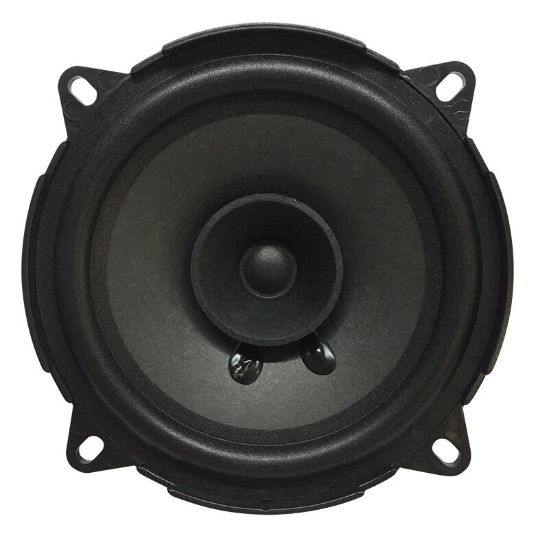 Powermaster PW-13/100 4 Ohm 100 Watt 13 Cm Tekli Hoparlör
