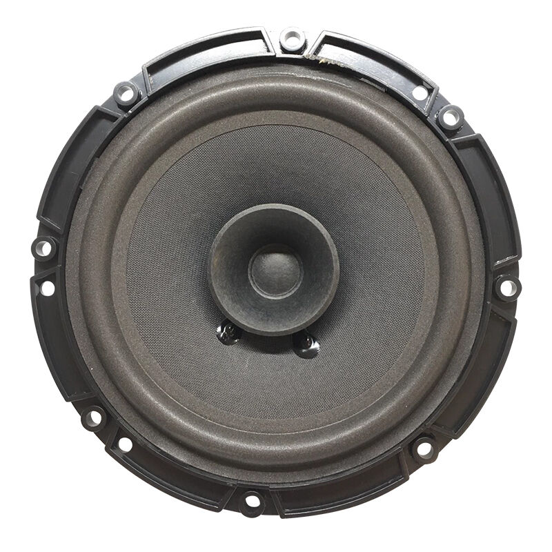 Powermaster PW-16/100 4 Ohm 100 Watt 16 Cm Tekli Hoparlör