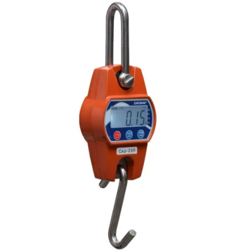 Desis OCS-C Vinç Baskülü 100KG