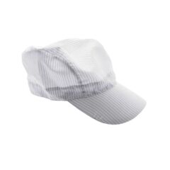 Temiz Oda Şapka Antistatik