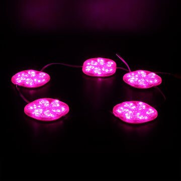 PowerMaster (20 Adet) PM-14709 12 Volt 3 Watt Pembe Sabit 6565-2835 Modül Led 65x65x12mm