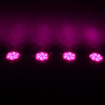 PowerMaster (20 Adet) PM-14709 12 Volt 3 Watt Pembe Sabit 6565-2835 Modül Led 65x65x12mm