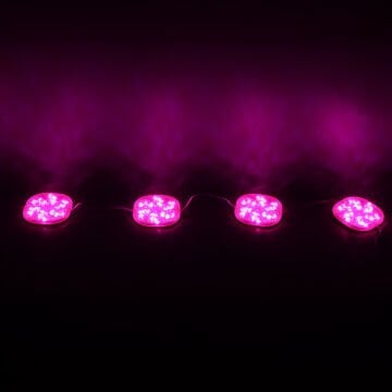 PowerMaster (20 Adet) PM-14709 12 Volt 3 Watt Pembe Sabit 6565-2835 Modül Led 65x65x12mm