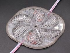 Powermaster 12 Volt 3 Watt Sarı Sabit 6565-2835 Modül Led