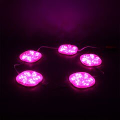 PowerMaster (20 Adet) PM-14701 12 Volt 3 Watt Pembe Yanıp Sönen Çakar 6565-2835 Modül Led 65x65x12mm