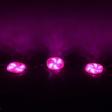 PowerMaster (20 Adet) PM-14701 12 Volt 3 Watt Pembe Yanıp Sönen Çakar 6565-2835 Modül Led 65x65x12mm