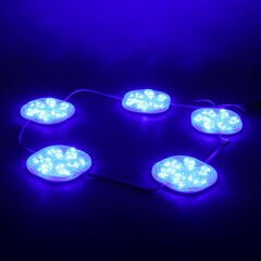 PowerMaster (20 Adet) PM-14698 12 Volt 3 Watt Mavi Yanıp Sönen Çakar 6565-2835 Modül Led 65x65x12mm