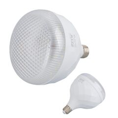 ZMR ZMR-113/B.65 50W Kristal Camlı T-Bulb Beyaz Led Ampul E27 6500K (15X19mm)