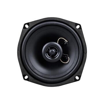 Westsound TH-06-CXT TS-5250 5'' 13 CM Çıplak Hoparlör