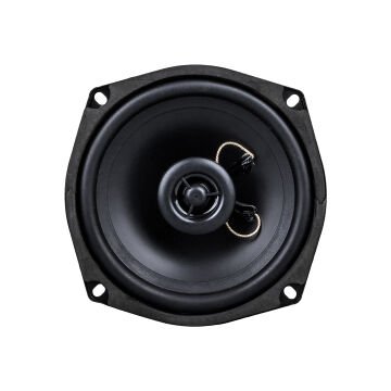 Westsound TH-06-CXT TS-5250 5'' 13 CM Çıplak Hoparlör