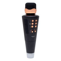 EVERTON RT-704BT USB/SD/FM/BLUETOOTH GİRİŞLİ TWS KARAOKE MİKROFON