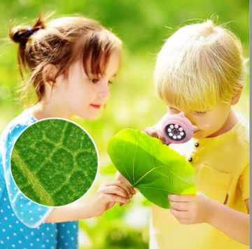 MG355 Eğitici 500X Dijital El Mikroskobu