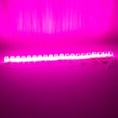 POWERMASTER MODÜL LED 12V 1.5W PEMBE 2835 85 X 73MM IP65 240-260LM 180 DERECE (20 ADET)