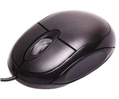 Everest SM-385 USB Kablolu Mouse
