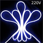 10 Metre Mavi Hortum Led 220 Volt Powermaster